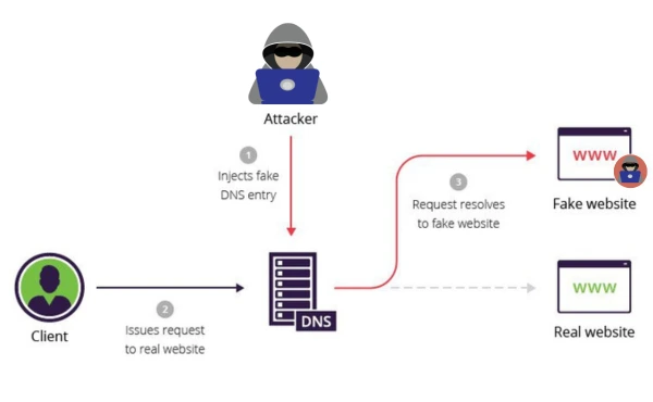 Why is DNSSEC Important